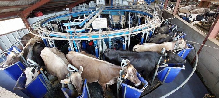  ferme de l oiseau